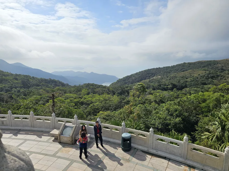 Utsikt över skogarna på ön Lantau