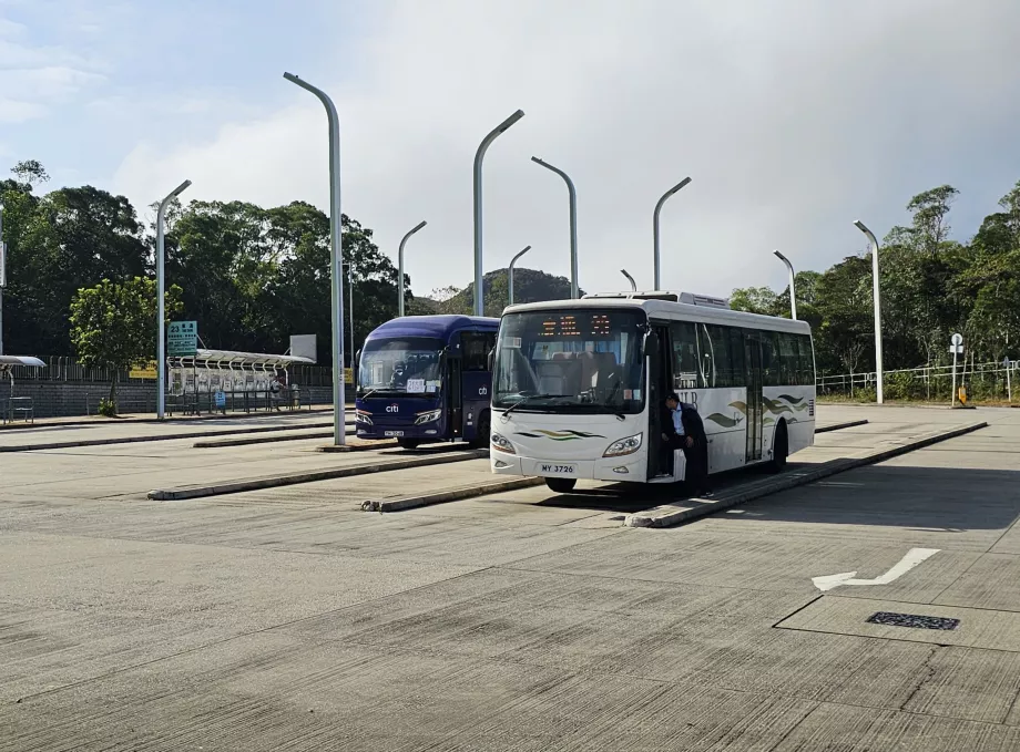 Bussar till Ngong Ping