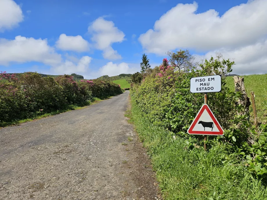 Skyltar längs vägarna på ön Flores