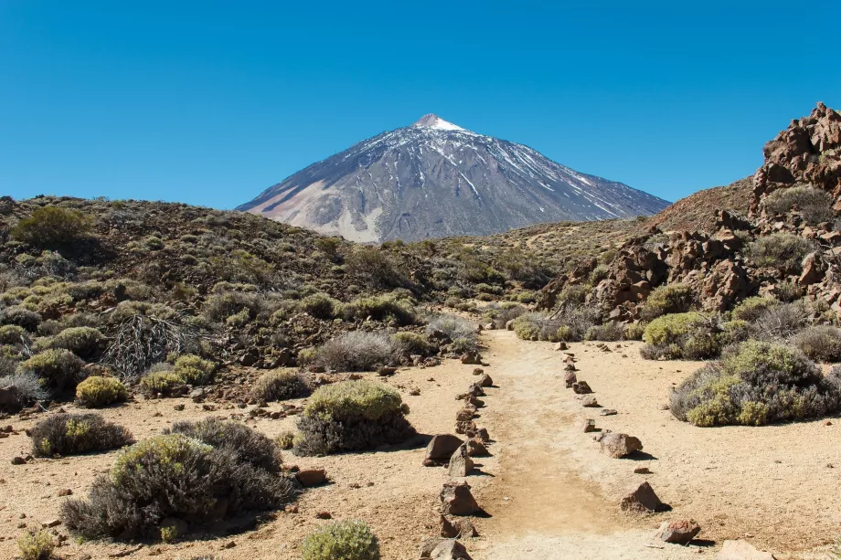 Vägen till Pico del Teide