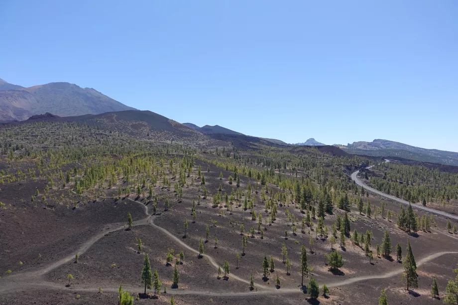 Landskapet i Teide NP