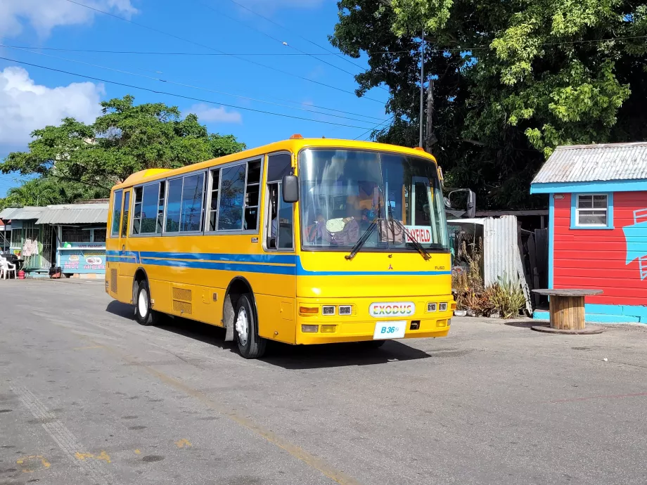 Minibuss Barbados