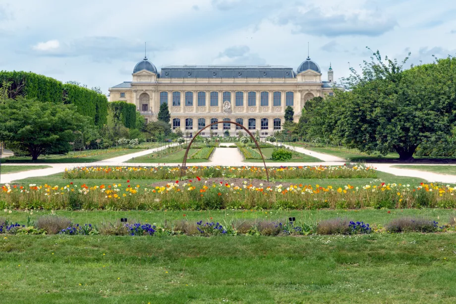 Naturhistoriska museet i Jardin des Plantes