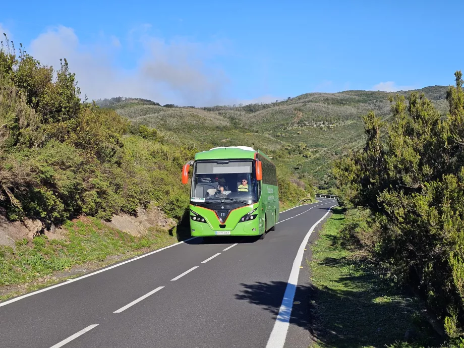 Bussar Gomera