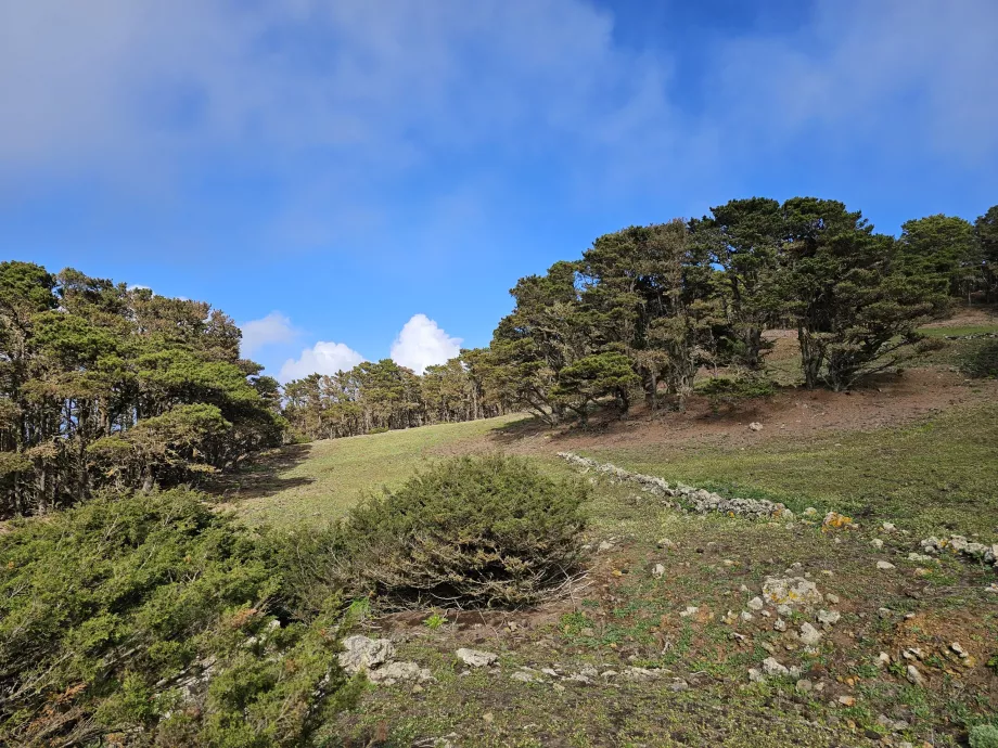 Västra El Hierro