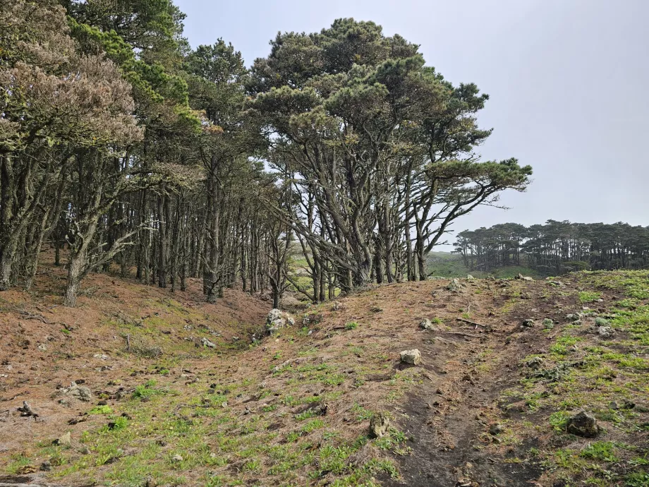 Västra El Hierro