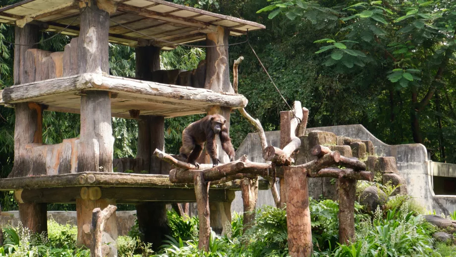 Gembira Loka Zoo