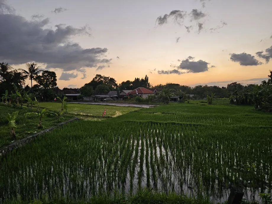 Vägen till Ratu Boko